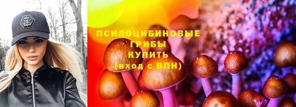 молекула духа Абинск