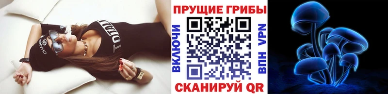 Псилоцибиновые грибы ЛСД  omg как зайти  Хадыженск  где найти наркотики 